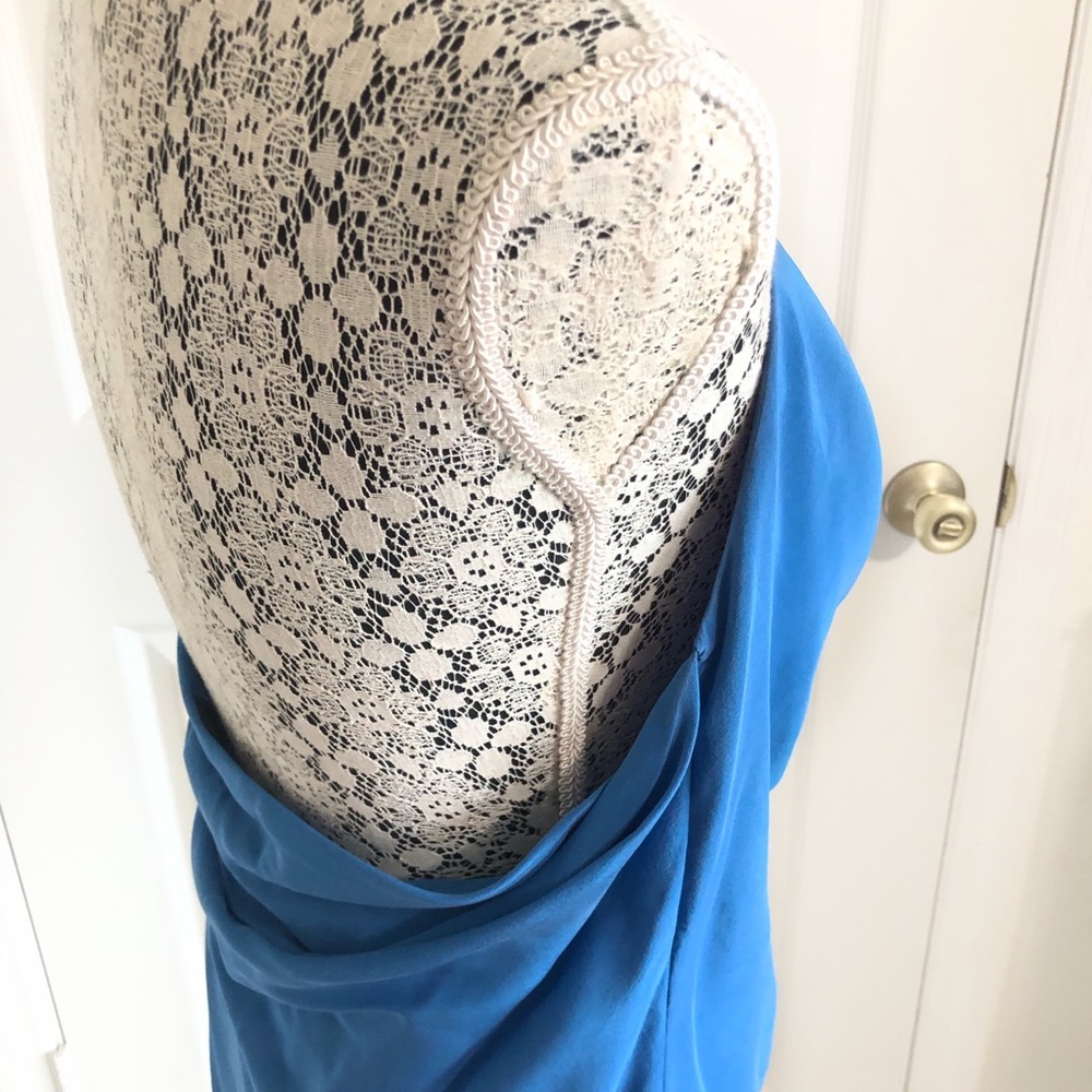 🚫 SOLD BCBGMaxAzria Silk Backless Halter Neck Top - Picture 7 of 8